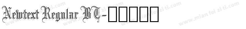 Newtext Regular BT字体转换